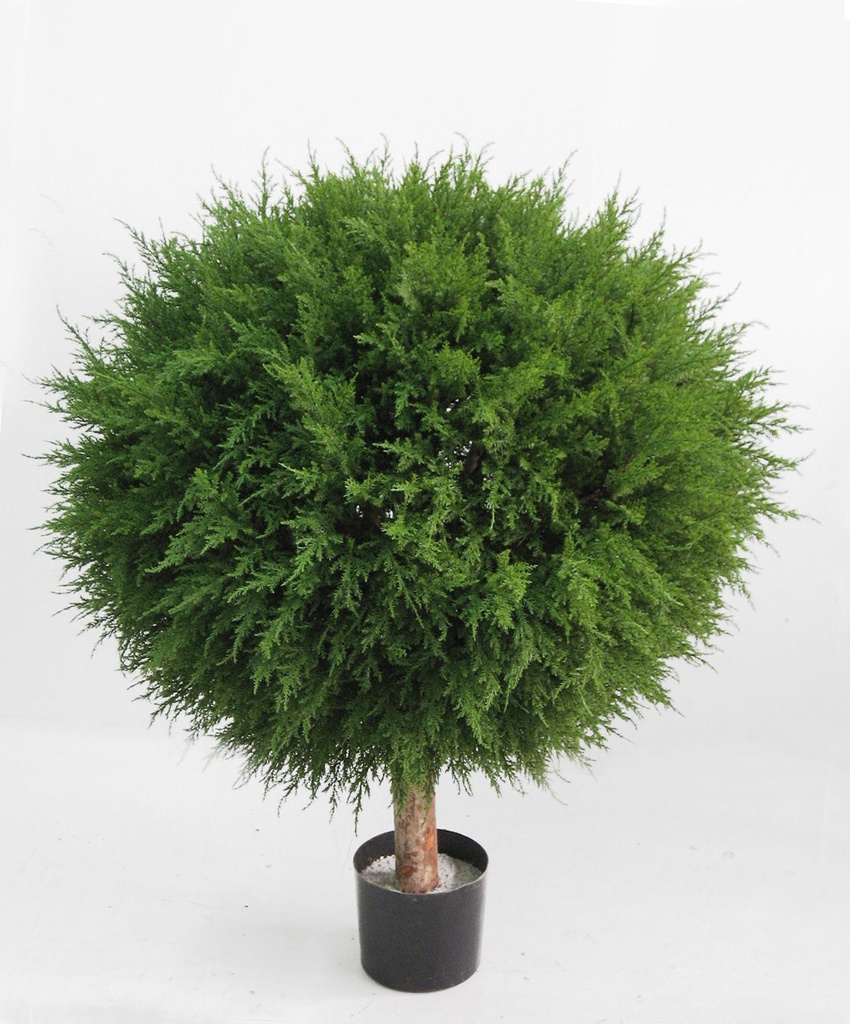 Cypress ball | Living Home